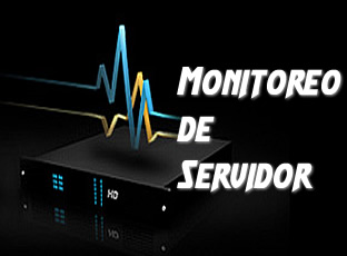 monitoreo regular de los servidores o hosting
